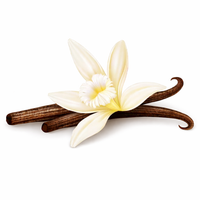 Vanilla